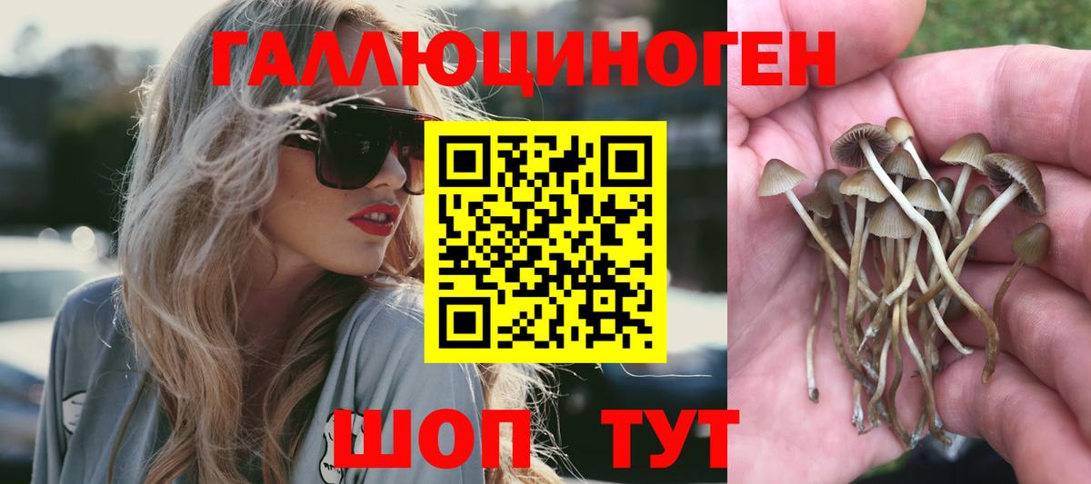 Галлюциногенные грибы прущие грибы Клин